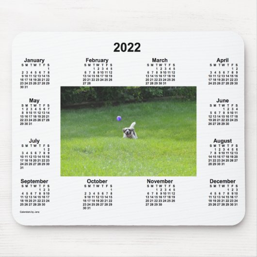 2022 Ball-spelenderfotokalender van Janz Muismat (Voorkant)