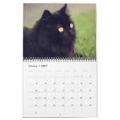 2022 Beaux Chats Noirs Calendrier mural de 12 mois (Jan 2027)