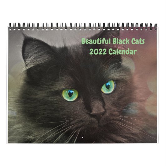 2022 Beaux Chats Noirs Calendrier mural de 12 mois (Protection)