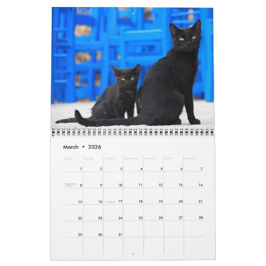 2022 Beaux Chats Noirs Calendrier mural de 12 mois (Mar 2026)