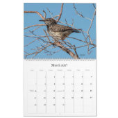2022 Birding in Arizona Calendrier (Mar 2027)