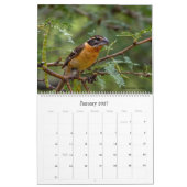 2022 Birding in Arizona Calendrier (Jan 2027)