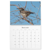 2022 Birding in Arizona Calendrier (Mar 2026)