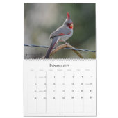 2022 Birding in Arizona Calendrier (Feb 2026)
