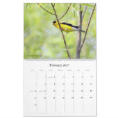 2022 Birding in South Carolina Calendrier (Feb 2027)