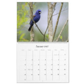 2022 Birding in South Carolina Calendrier (Jan 2027)