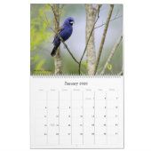 2022 Birding in South Carolina Calendrier (Jan 2026)