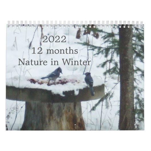 2022 Calendar Nature in Winter  Kalender (Hoes)