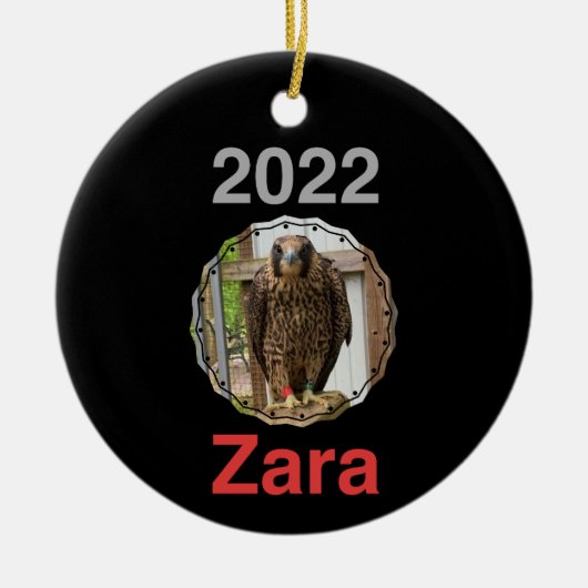 2022 Cercle en céramique ornement Zara (Devant)