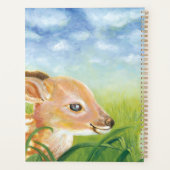 2022 Fawn (Dos)