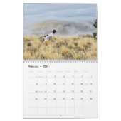 2022 Field of Dreams - Calendrier de chasse aux oi (Feb 2026)