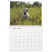 2022 Field of Dreams - Calendrier de chasse aux oi (Jan 2026)