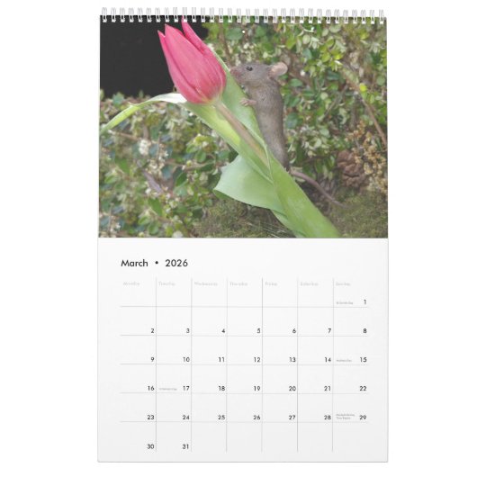 2022 George le calendrier souris  (Mar 2026)