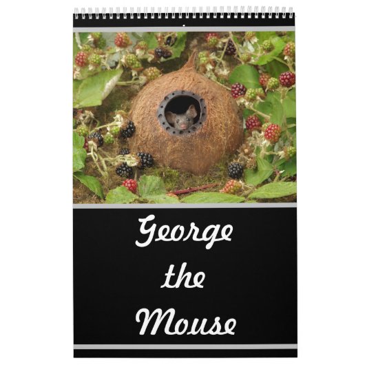 2022 George le calendrier souris  (Protection)