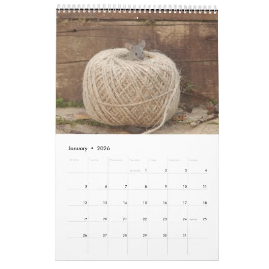 2022 George le calendrier souris  (Jan 2026)