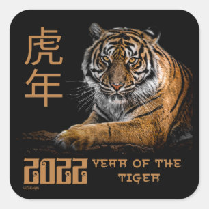 2022 JAAR VAN DE KWESTIE VAN HET TIGER Chinese NIE Vierkante Sticker