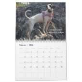 2022 Pointers of the Heart PointerRescue Org Kalender (Feb 2026)