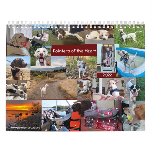 2022 Pointers of the Heart PointerRescue Org Kalender (Hoes)