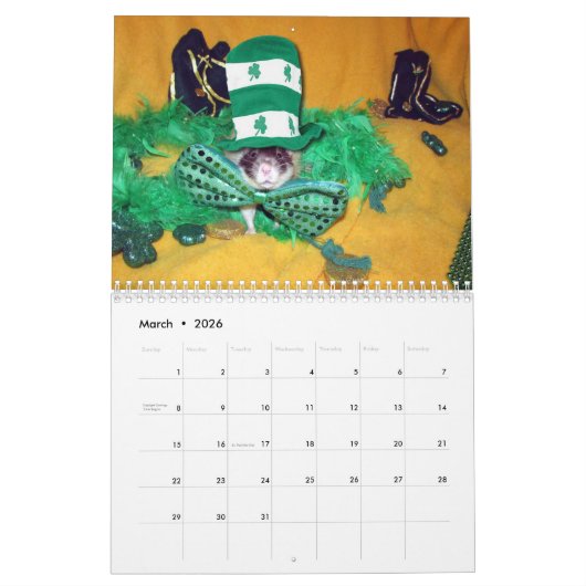 2022 Rats de The Rodent Reader Calendrier E (Mar 2026)