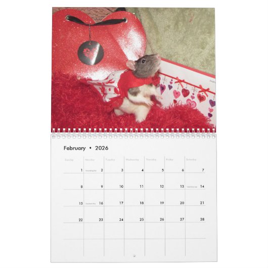 2022 Rats de The Rodent Reader Calendrier E (Feb 2026)