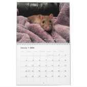 2022 Rats du Calendrier des lecteurs de rongeurs (Jan 2026)