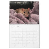 2022 Rats du Calendrier des lecteurs de rongeurs (Jan 2027)