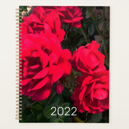 2022 Red Roses Rosarium Planner (Voorkant)