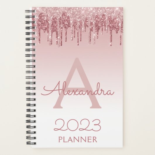 2022 Roos Goud Blush Pink Glitter Sparkle Monogram Planner (Voorkant)