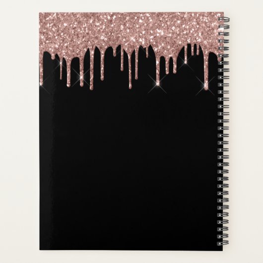 2022 Rose Gold - Rose Pâle Noir Paillettes Monogra (Dos)