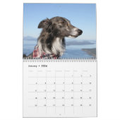 2022 Silken Windhounds (hoofdschoten) Kalender (Jan 2026)