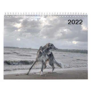 2022 Silken Windhounds (meerdere honden en in acti Kalender