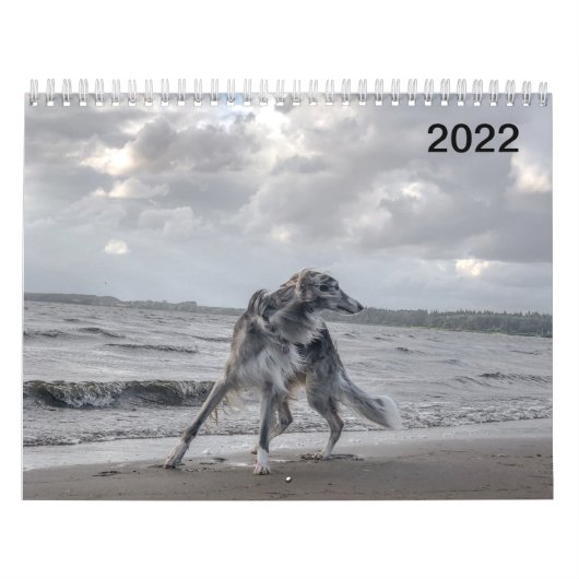 2022 Silken Windhounds (meerdere honden en in acti Kalender (Hoes)
