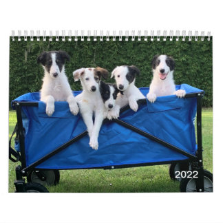 2022 Silken Windhounds (Puppies) Agenda Kalender
