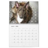 2022 Silken Windhounds (Puppies) Agenda Kalender (Mar 2026)