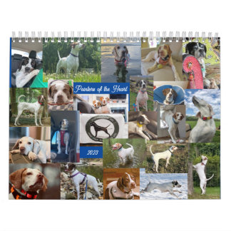 2023 Aanwijzers van het HoofdagendapuntRescue Kalender