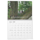 2023 Aanwijzers van het HoofdagendapuntRescue Kalender (Mar 2027)