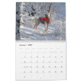 2023 Aanwijzers van het HoofdagendapuntRescue Kalender (Jan 2027)
