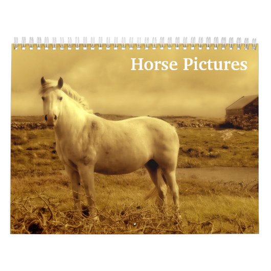 2023 Afbeeldingen van paardenAfbeeldingen Kalender (Hoes)