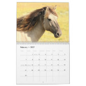 2023 Afbeeldingen van paardenAfbeeldingen Kalender (Feb 2027)