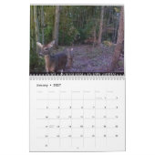 2023 Animaux de la nature Calendrier (Jan 2027)