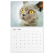 2023 Birmese kat mama eigenaar Lovers Gift Kalender (Mar 2026)