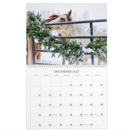 2023 - Calendrier de l'année Mustang du Michigan (Dec 2027)