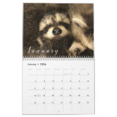 2023 Calendrier Raccoons de Gordon Wildlife (Jan 2026)