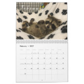 2023 Calendrier Raccoons de Gordon Wildlife (Feb 2027)