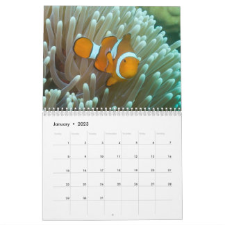 2023 Coral Zee Calendar Kalender