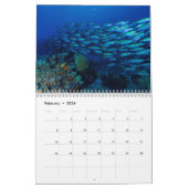 2023 Coral Zee Calendar Kalender (Feb 2026)