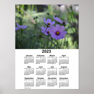 2023 Cosmos Kalender van Janz Poster