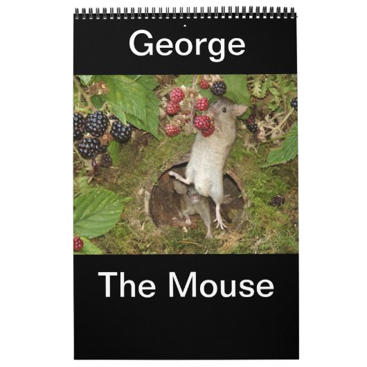 2023 de muis kalender (Hoes)