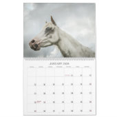 2023 - een mosterangjaar van Michigan Kalender (Jan 2026)