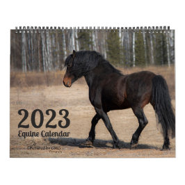 2023 Equine Photo Calendar Kalender